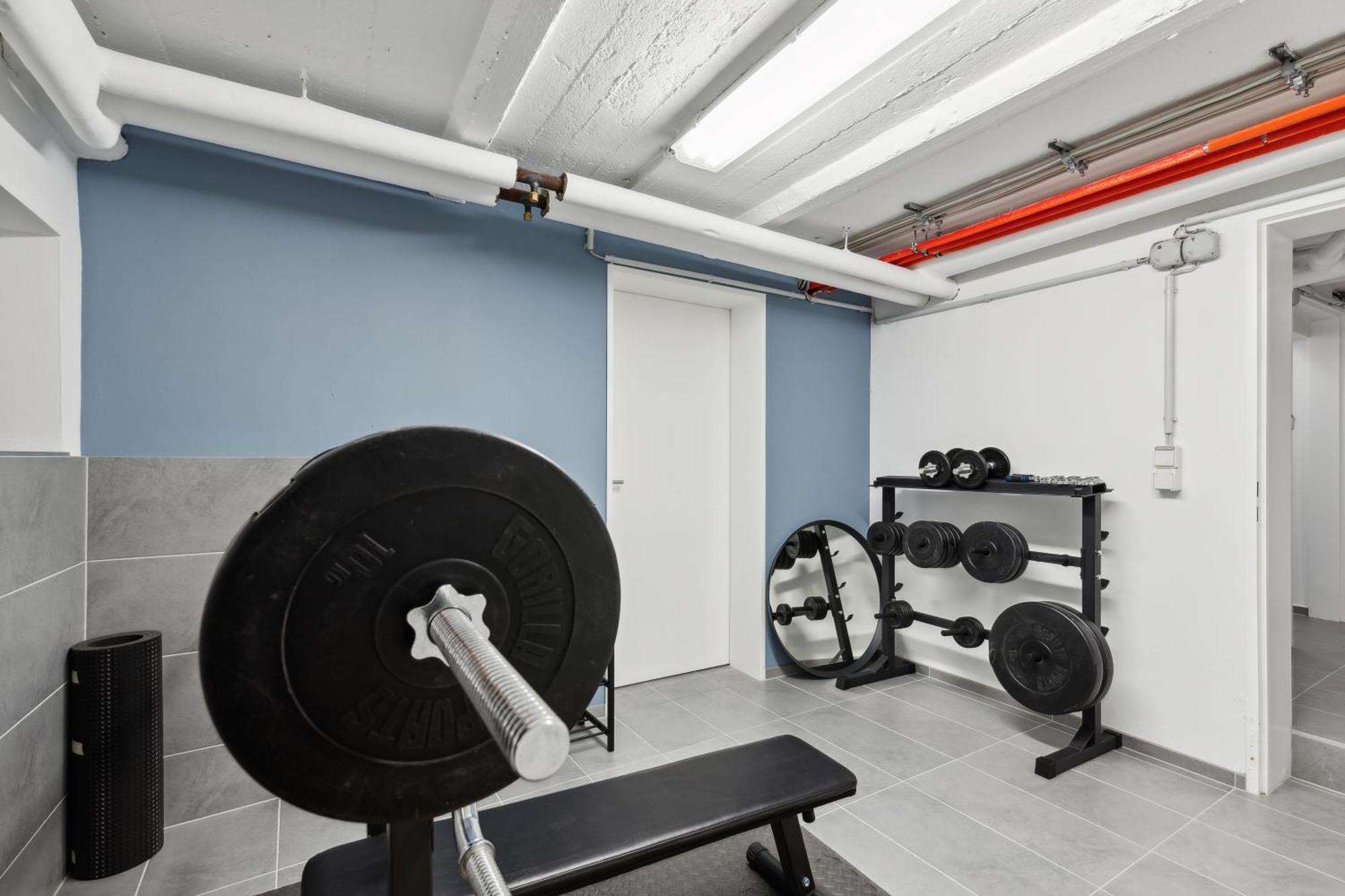 Modern Living - Basf - Ma - Pfalz - 1 Gym 2 Working Spaces Ludwigshafen am Rhein Exteriér fotografie